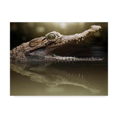 Trademark Fine Art Fahmi Bhs 'Croc In Water' Canvas Art, 35x47 1X05501-C3547GG